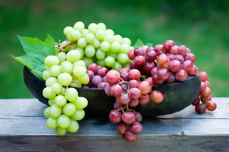 The Properties Of The Grape and Its Benefits for Health