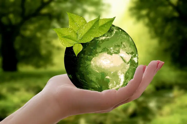 Let´s give our planet a hand