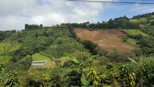 Zarcero hills offer a beautiful landscape of crop fields.