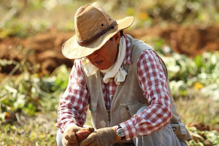 Our “Campesinos” (Farmers), The Heart And Soul Of Our Nation