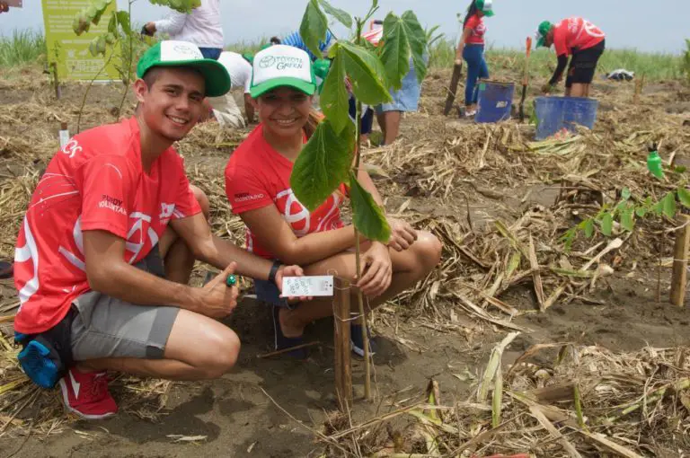Costa Rica Breaks Records in Reforestation