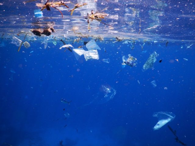 Debris floating in the ocean