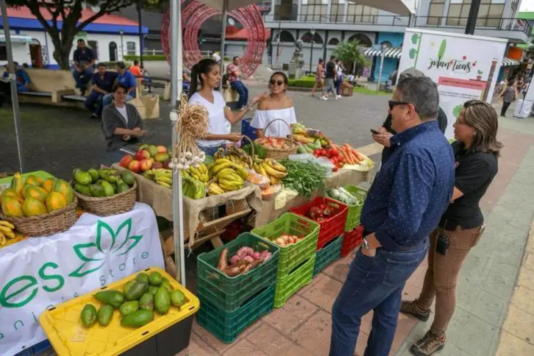 The Green Fair of San José