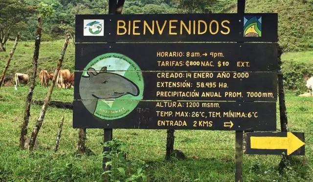 Welcome to Tapantí National Park!