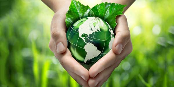 World Environment Day