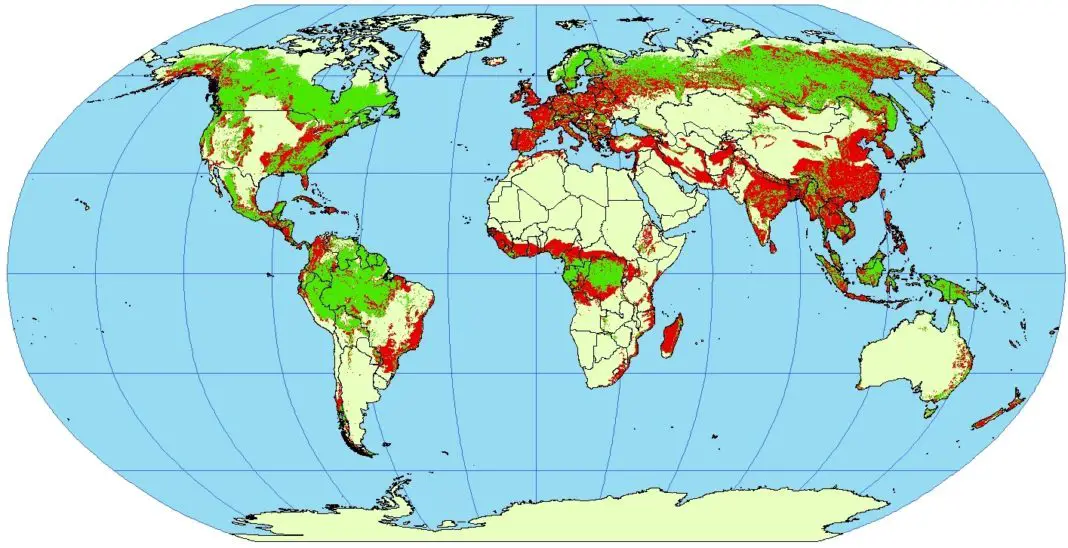 Virgin Forests All Around The World Are Disappearing Fast ⋆ The Costa 