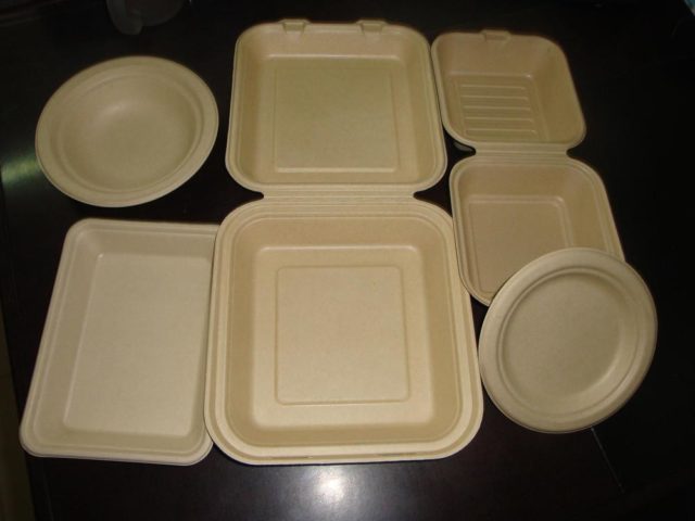 Biodegradable food containers