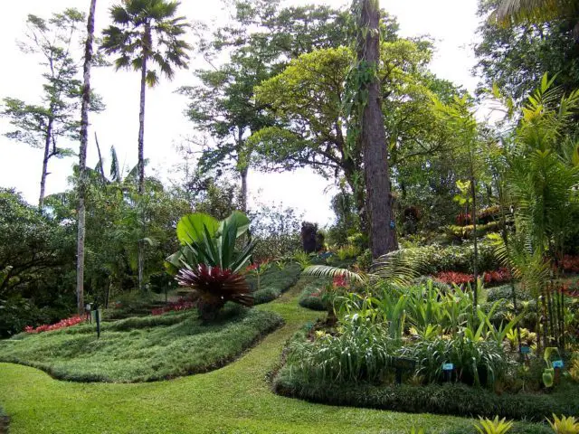 A section of one of the most visited Botanical Gardens