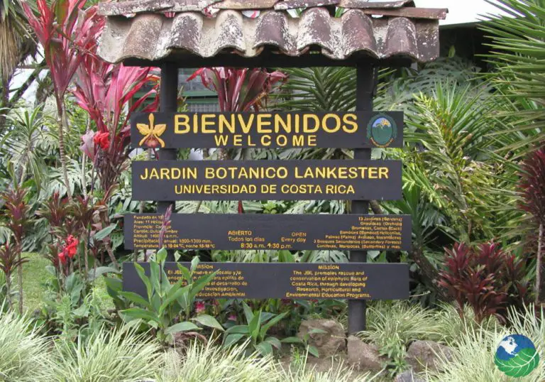 Botanical Gardens of Costa Rica: The Best Preserved Ones of Central America