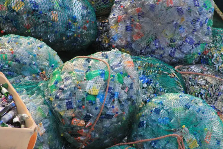 Government and International Organizations Call for the Replacement of Plastics for Single Use in Costa Rica