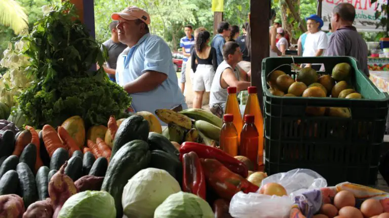 Farmers’ Fairs in Costa Rica Achieve Community Awareness