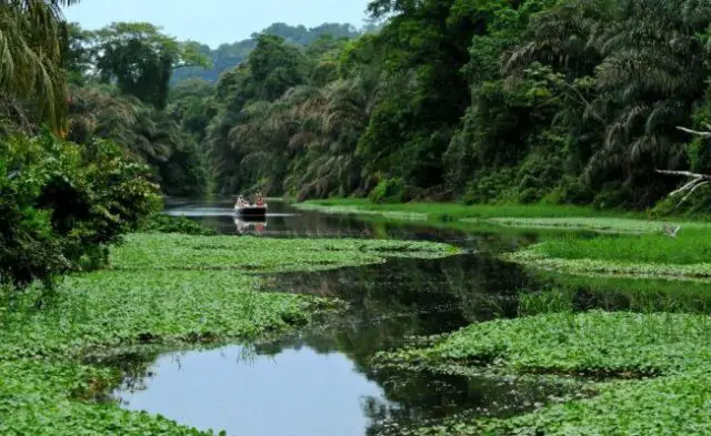 Tortuguero National Park navigable channels