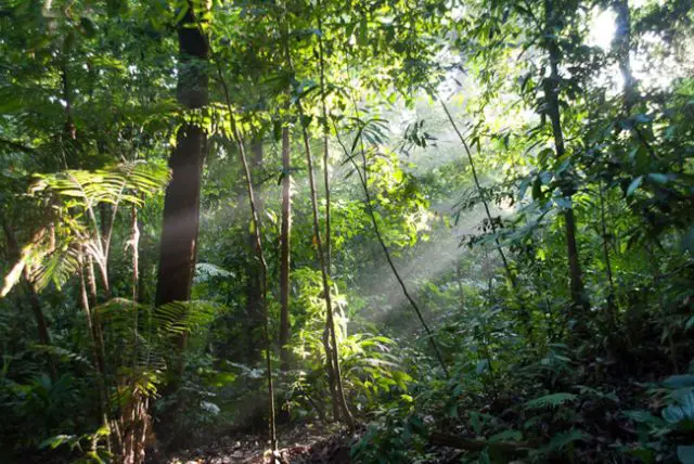 Isla del Caño Biological Reserve ⋆ The Costa Rica News