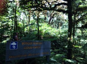 great coco island tourism