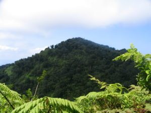 great coco island tourism