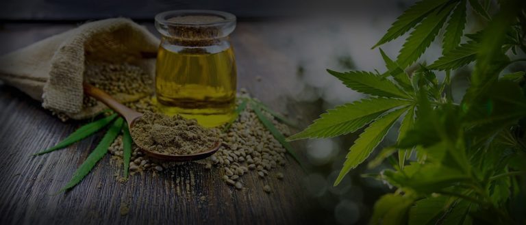 PROCOMER Sees a Good Scenario for the Country to Commercialize CBD and Hemp Derivatives