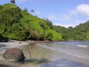 great coco island tourism