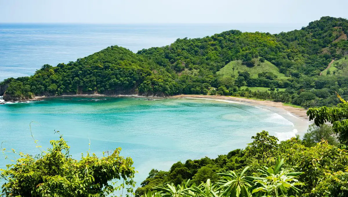 Meet the Manuel Antonio National Park in Costa Rica ⋆ The Costa Rica News