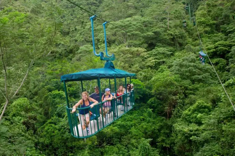 Cable Car of Costa Rica’s Rainforest