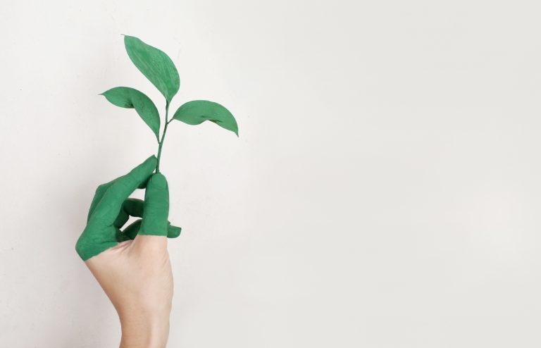 Analysis on Social Ecology