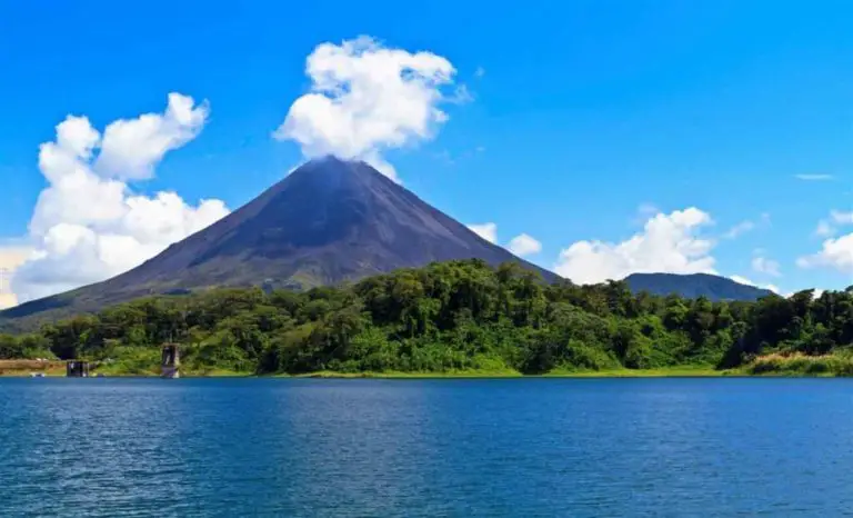 Volunteers Will Collect Waste and Reforest the Shore of Arenal Lake