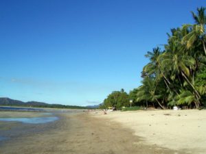 Tamarindo landscape