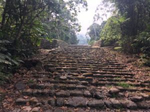 Guayabo Stairs