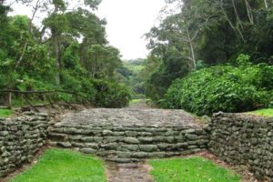 Guayabo Landscape