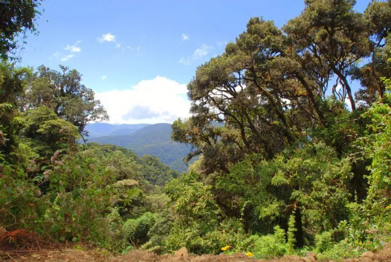 Tapantí National Park: Magical Natural Wonderland ⋆ The Costa Rica News