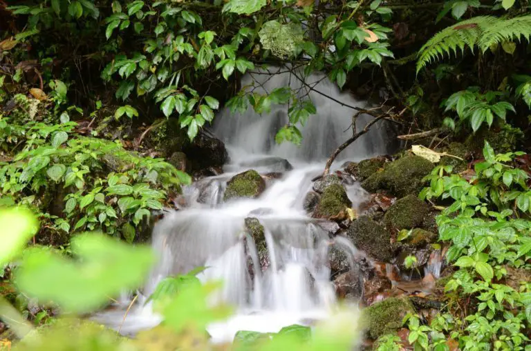 Tapantí National Park: Magical Natural Wonderland