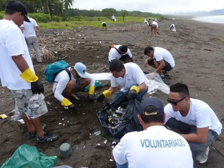 Mega Beach-Cleaning Marathon Collected 5 Tons Of Waste On the Costa Rican Coast