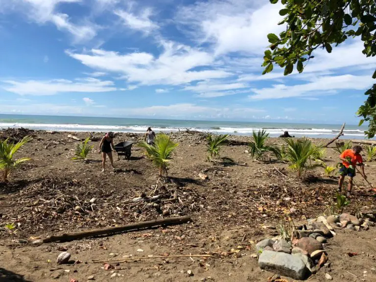 Costa Rica Starts 2019 with a Firm Ecological Commitment!