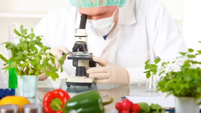 Food Technology: How It Is Going To Change Our Lives ⋆ The Costa Rica News