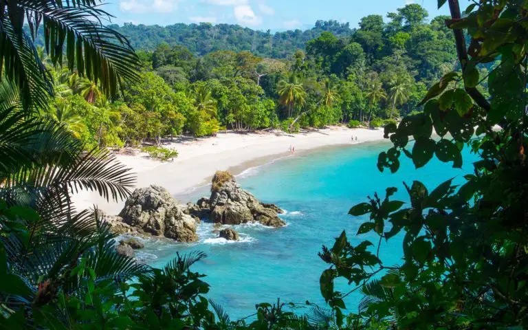 An Inmediate Investigation Is Demanded On Numerous Irregularities Going On In “Parque Manuel Antonio”