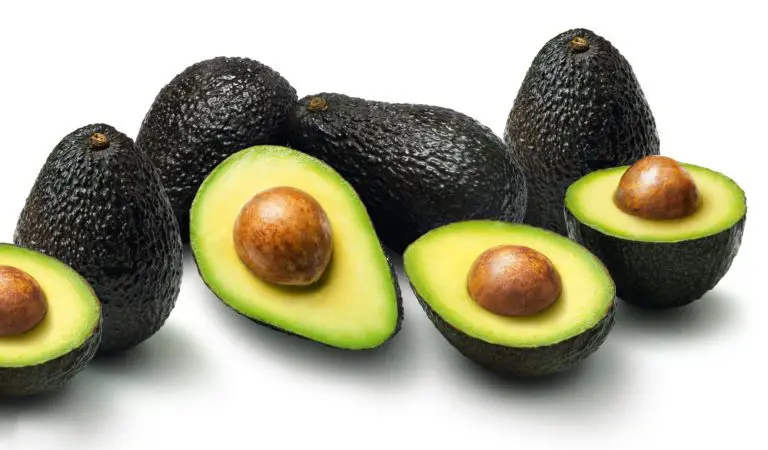 After a 4-Year Restriction, Mexican Hass Avocado Enters Costa Rica Again