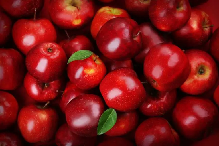 Eating an Apple a Day Has Many Health Benefits