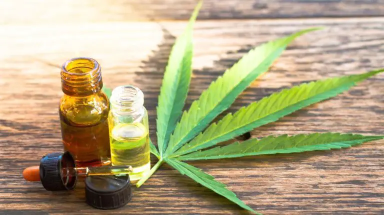 A Project Proposes Legalizing Essential Oils of Marijuana for Medical Purposes in Costa Rica