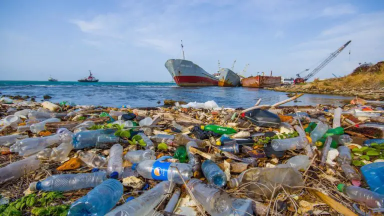 Plastic Pollution: A Serious Problem