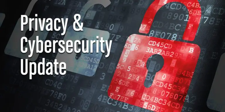 Privacy and Cyber Security Concerns in Latin America