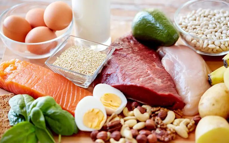 The Incredible Power of Proteins for Our Body!