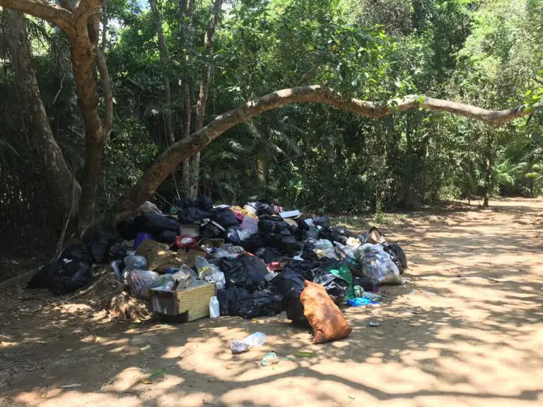 Envision Festival’s Eco Crew is Still Collecting Trash Left by Unregulated Merchants
