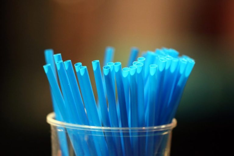 Guanacaste Would Be the 1st Province to Eliminate the Use of Straws and Plastic Bags