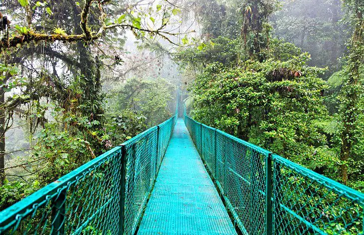 Let’s Explore Costa Rica’s Jungle