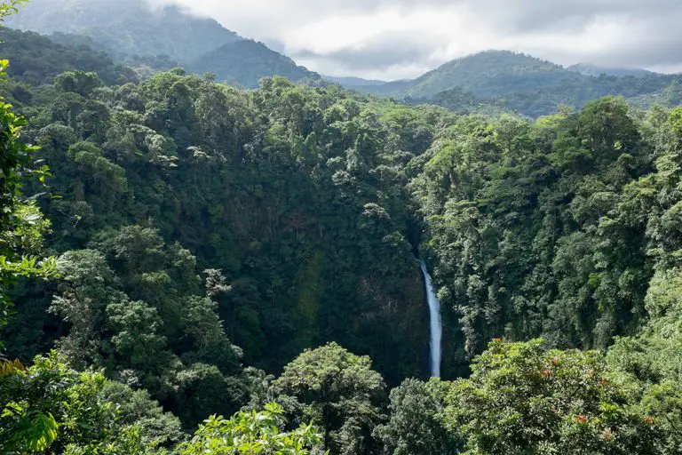 Costa Rica Has Double of Forests than 30 Years Ago