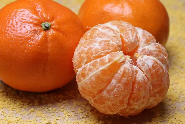 Tangerine: A Delicious Fruit Full of Healthy Properties for You