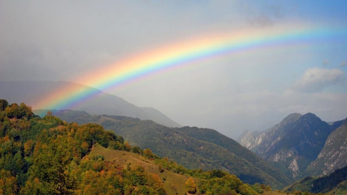 Regular Rianbow Why Is the Rainbow Curved? ⋆ The Costa Rica News