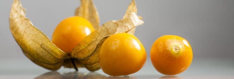 Get to Know the Uchuva (Golden berry) The Fruit of Love