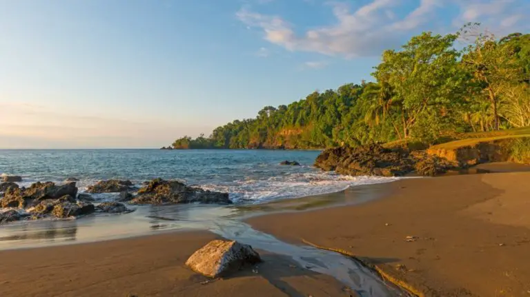 Corcovado National Park: King of Nature