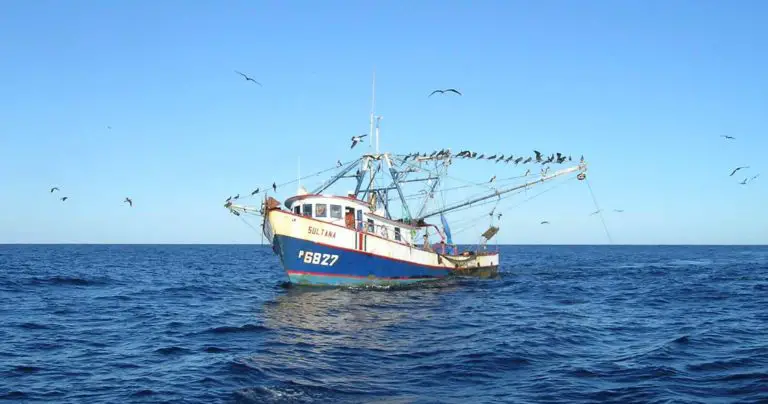 All Costa Rica Rejects Incomplete and Inaccurate Official Report on Shrimp Trawling