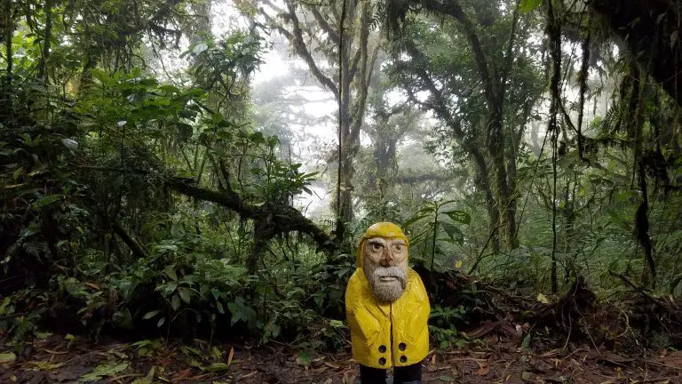 Monteverde Cloud Forest Biological Reserve: Private Sanctuary for Biodiversity